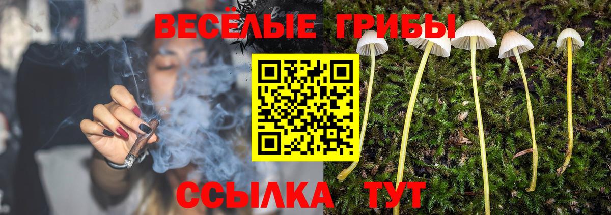 Псилоцибиновые грибы прущие грибы  Псилоцибиновые грибы MAGIC MUSHROOMS  Первоуральск  Вход с VPN 
