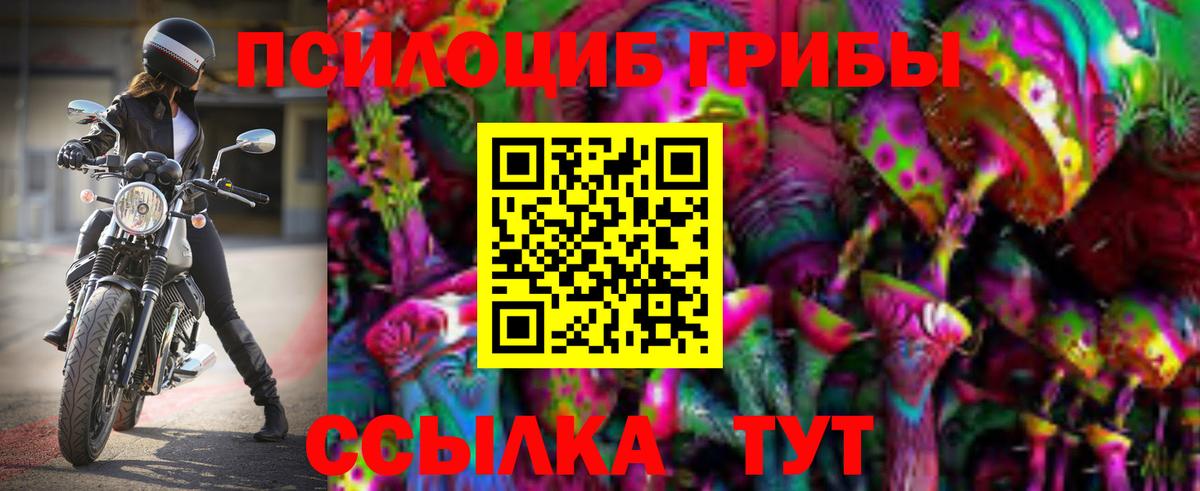 Псилоцибиновые грибы Psilocybine cubensis Первоуральск